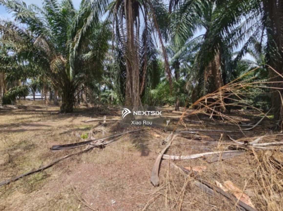 Agricultural Land For Sale in Jasin Melaka