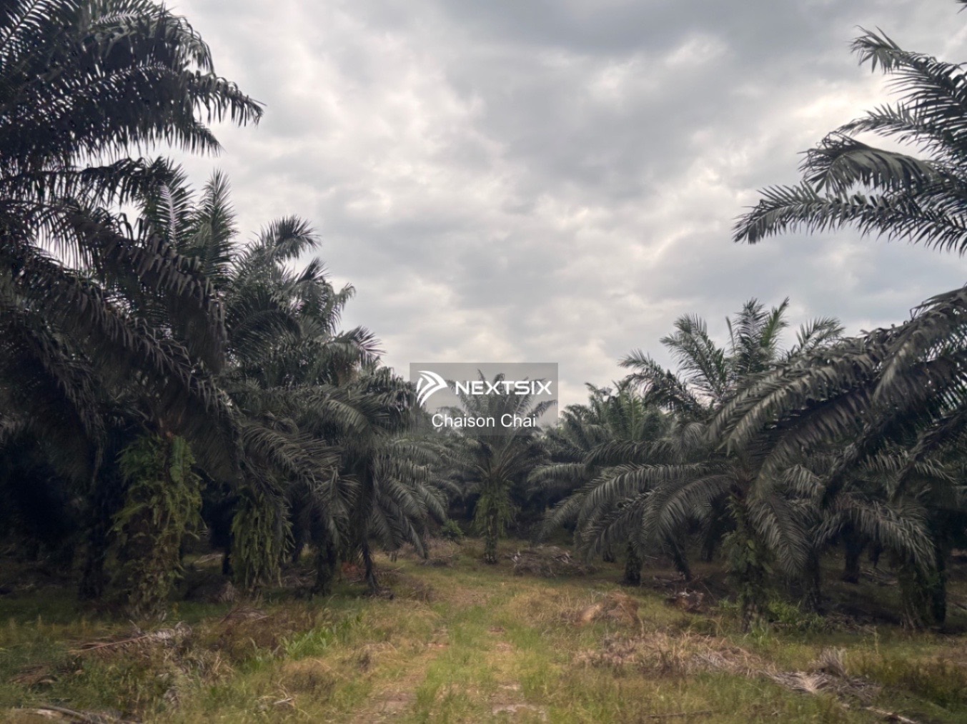 Agricultural Land For Sale in Lahad Datu Sabah
