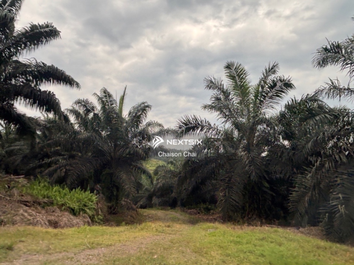 Agricultural Land For Sale in Lahad Datu Sabah