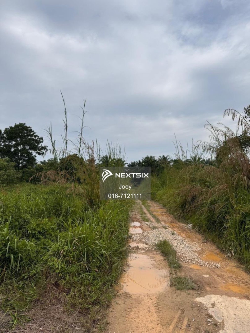 Agricultural Land For Sale in Pontian Johor