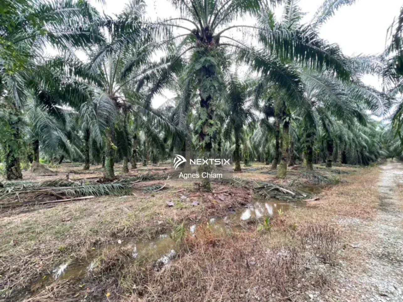 Industrial Land For Sale in Jeram Selangor - Image 5