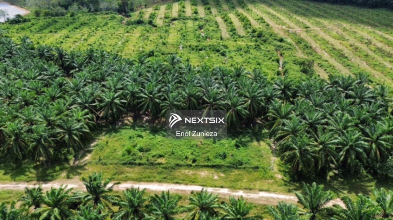 Agricultural Land For Sale in Arau Perlis - Image 6