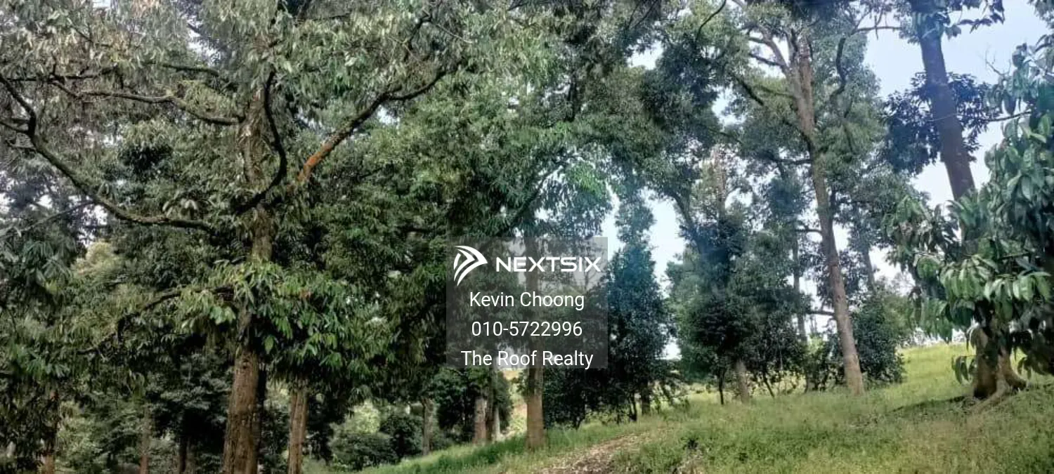 Agricultural Land For Sale in Lanchang Pahang