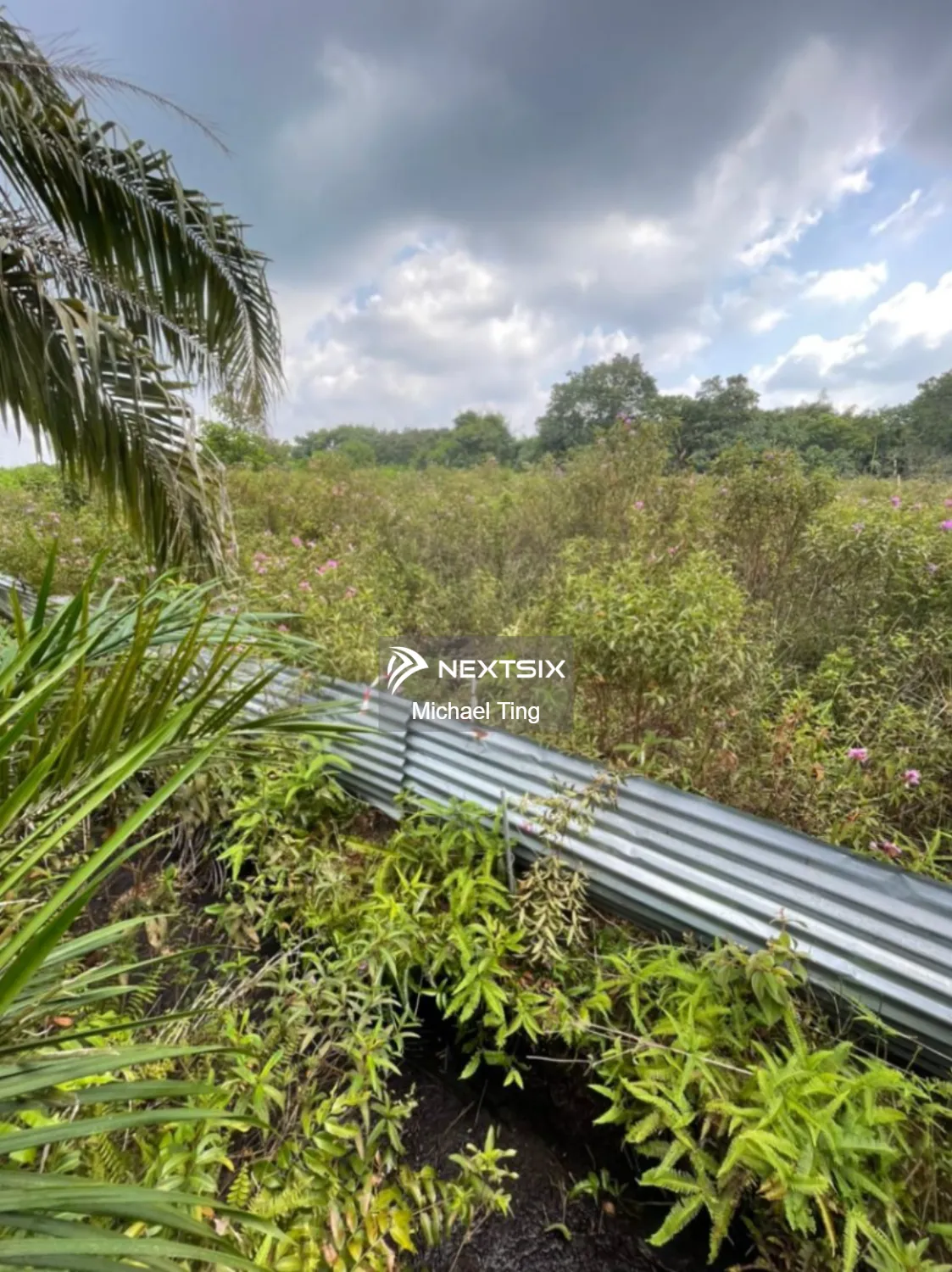 Agricultural Land For Sale in Kluang Johor - Image 6