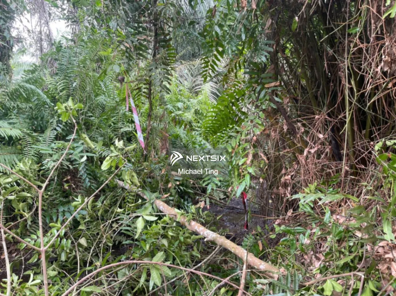 Agricultural Land For Sale in Kluang Johor - Image 7