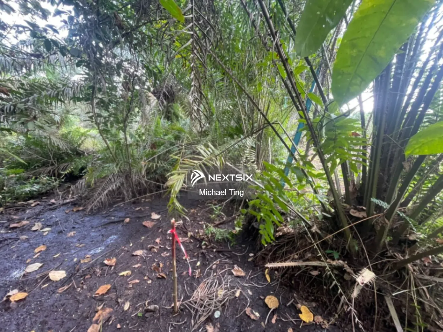 Agricultural Land For Sale in Kluang Johor - Image 8