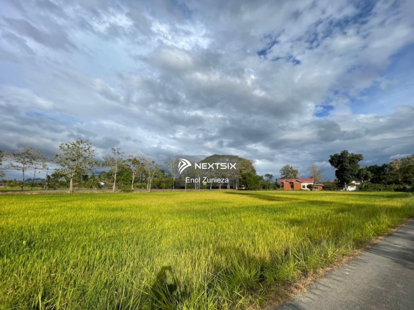 Agricultural Land For Sale in Kangar Perlis - Image 5