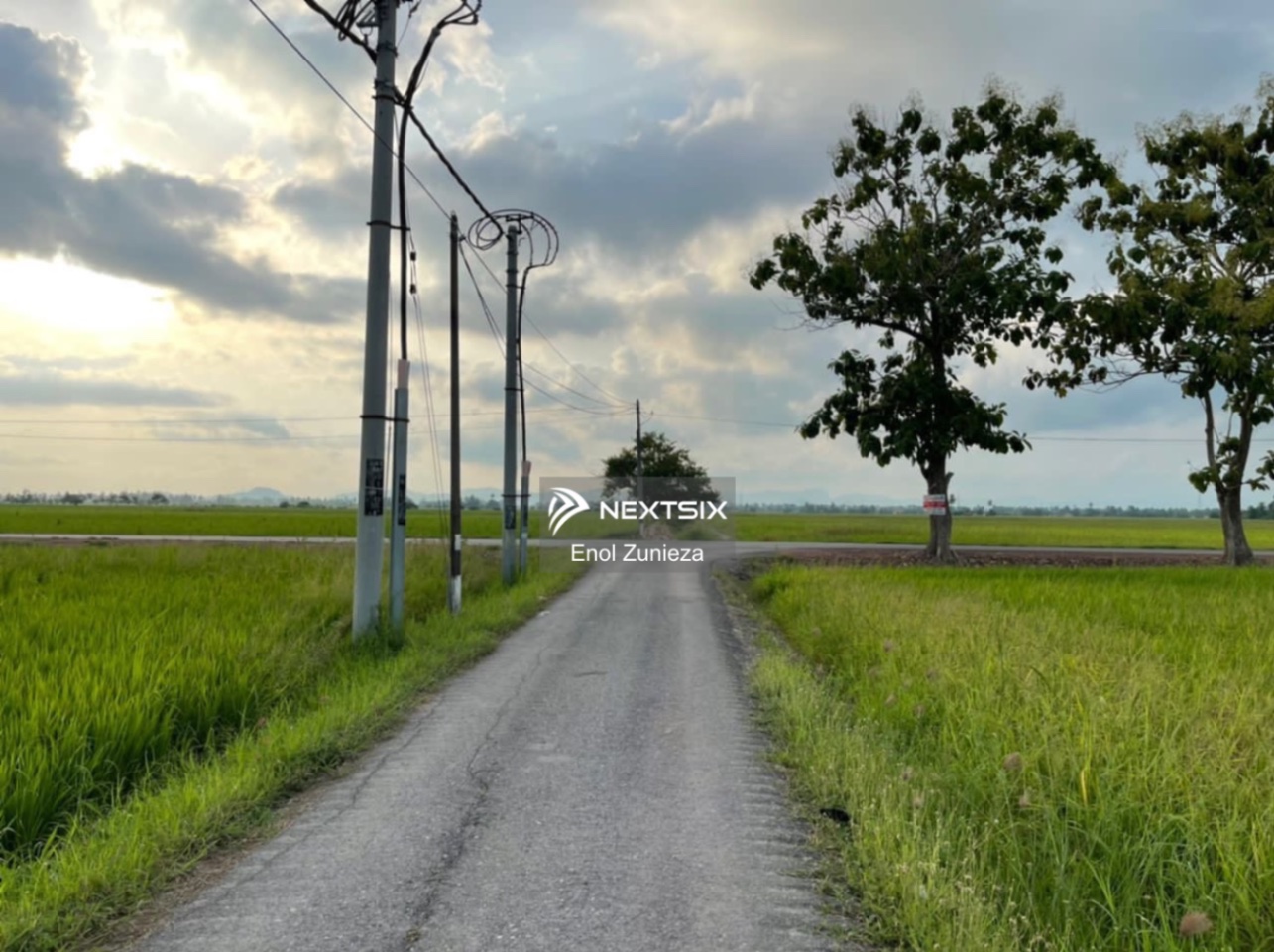 Agricultural Land For Sale in Simpang Ampat Perlis - Image 5
