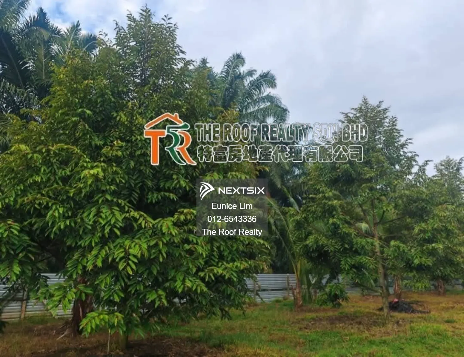 Agricultural Land For Sale in Muar Johor