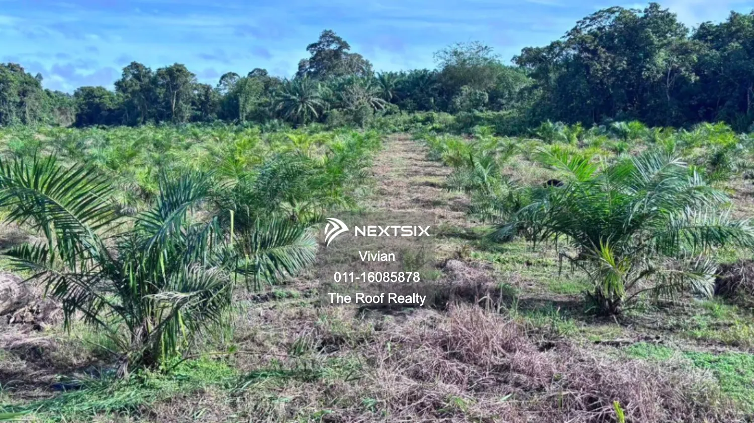 Agricultural Land For Sale in Bintagor Sarawak