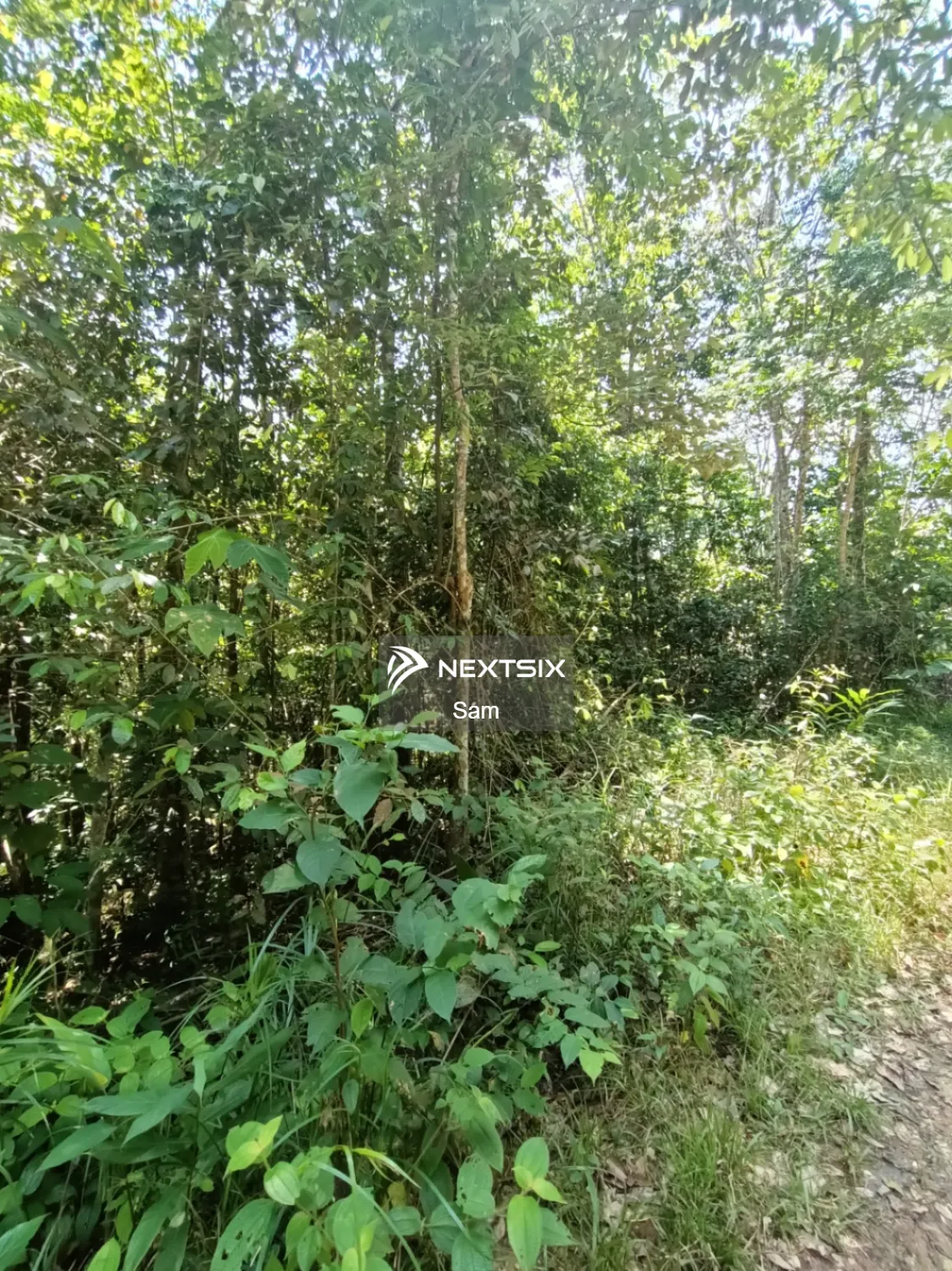 Agricultural Land For Sale in Hulu Selangor Selangor