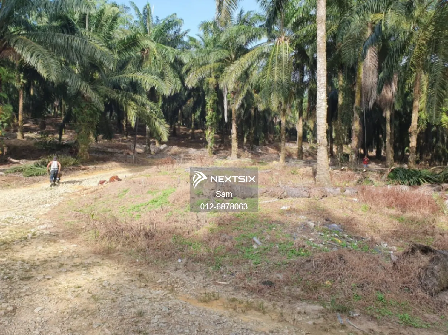 Agricultural Land For Sale in Johol Negeri Sembilan - Image 10