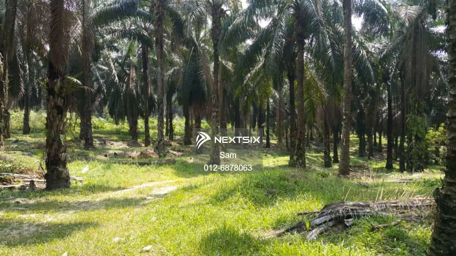 Agricultural Land For Sale in Johol Negeri Sembilan - Image 6