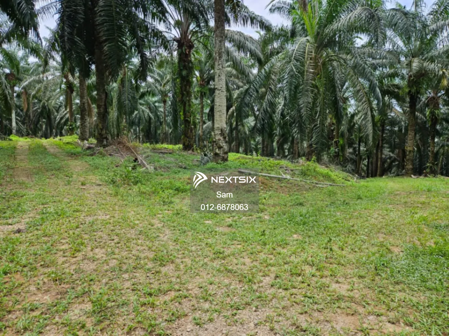 Agricultural Land For Sale in Johol Negeri Sembilan - Image 7
