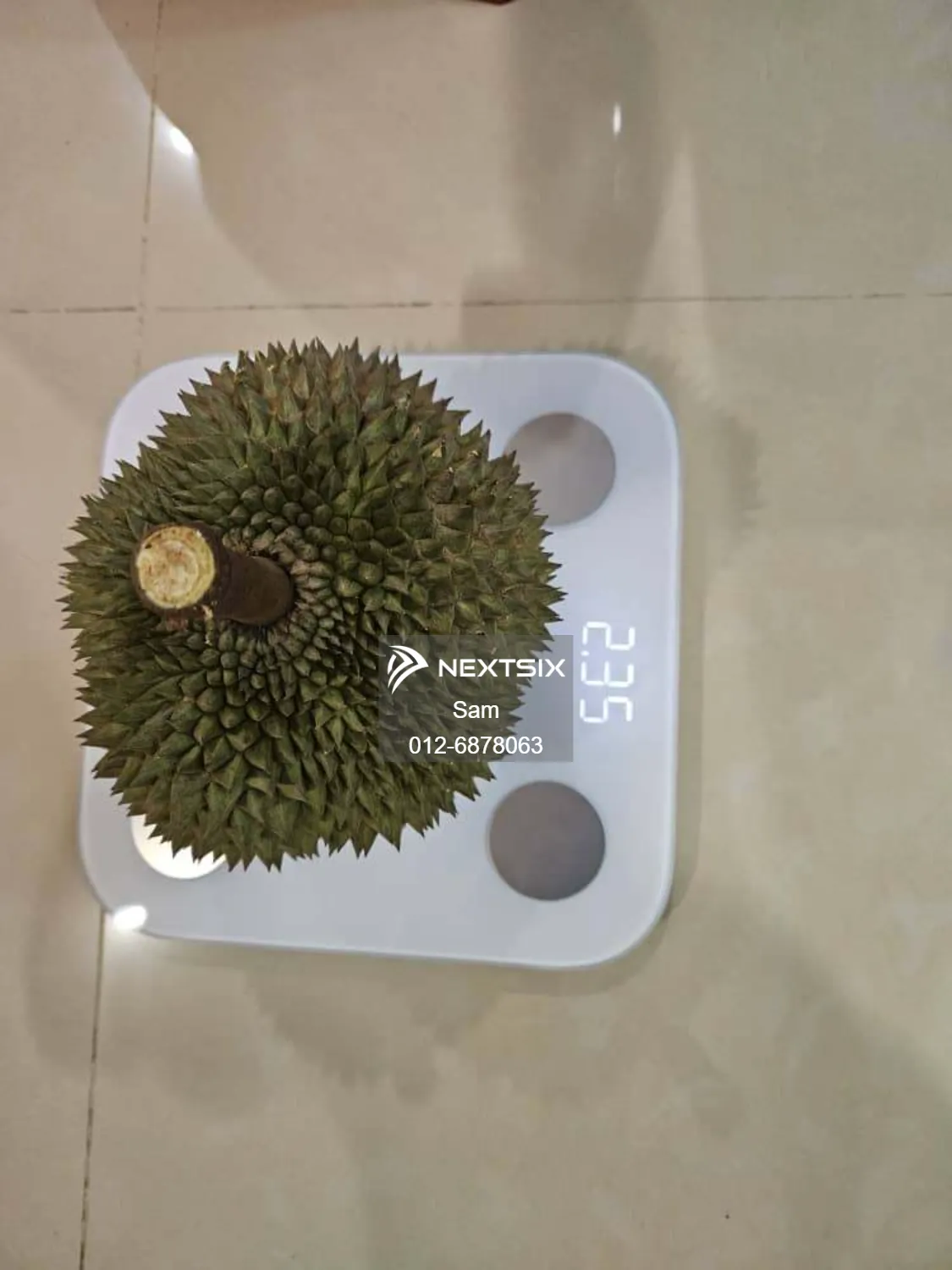 Agricultural Land For Sale in Dong Pahang