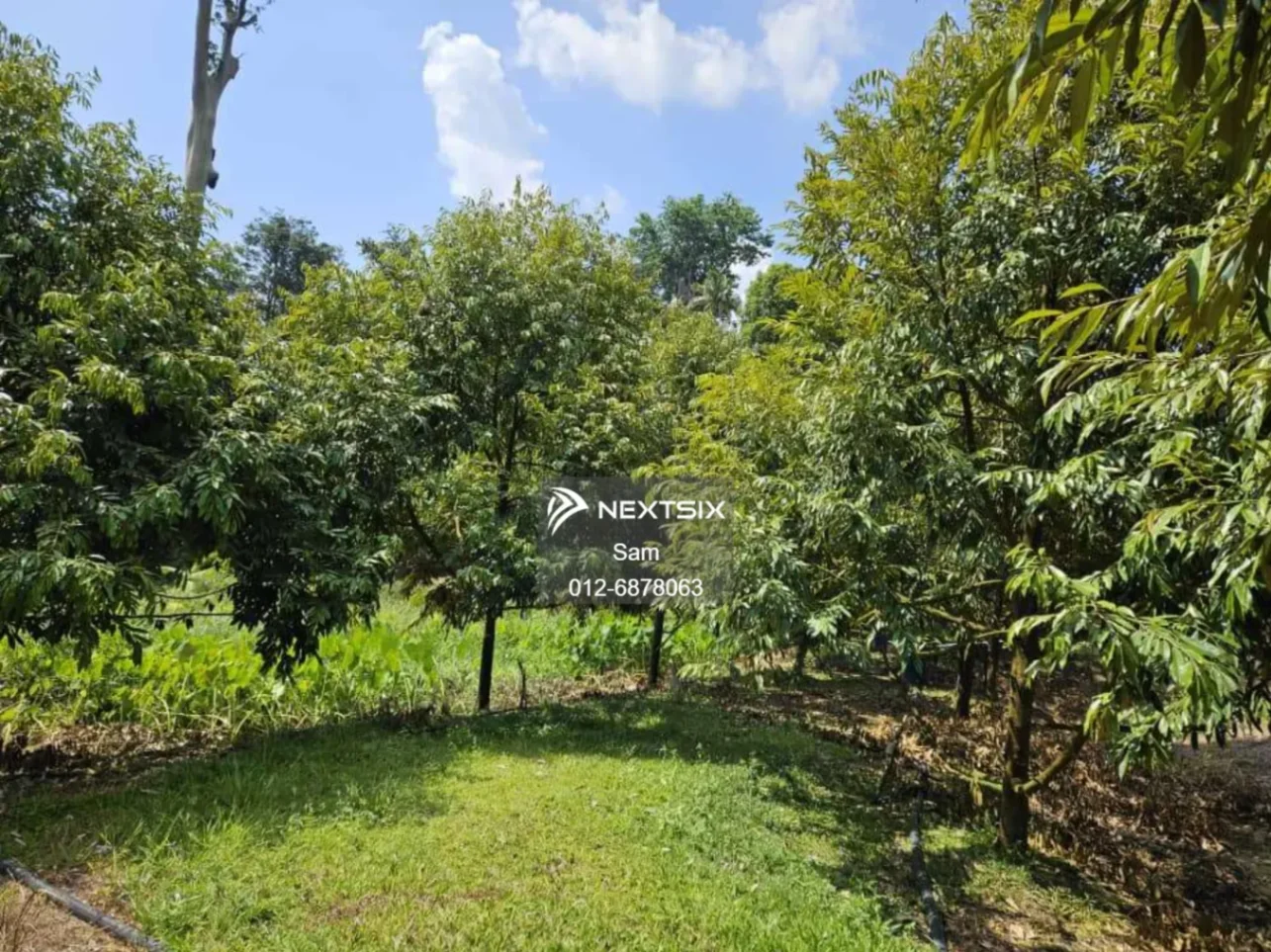 Agricultural Land For Sale in Dong Pahang - Image 10