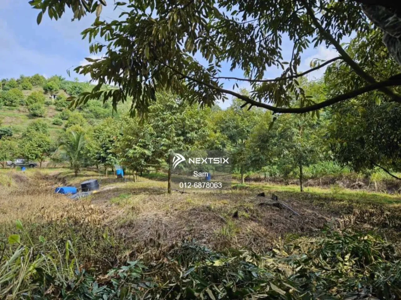 Agricultural Land For Sale in Dong Pahang - Image 12
