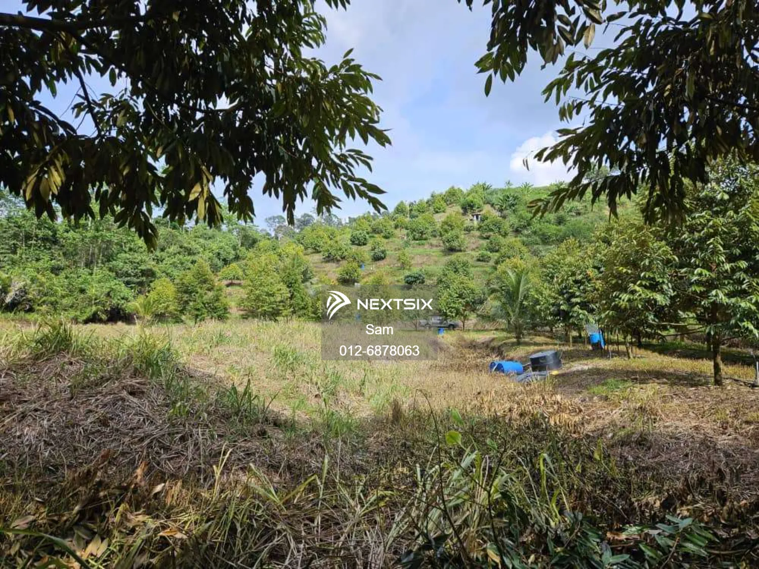Agricultural Land For Sale in Dong Pahang - Image 5