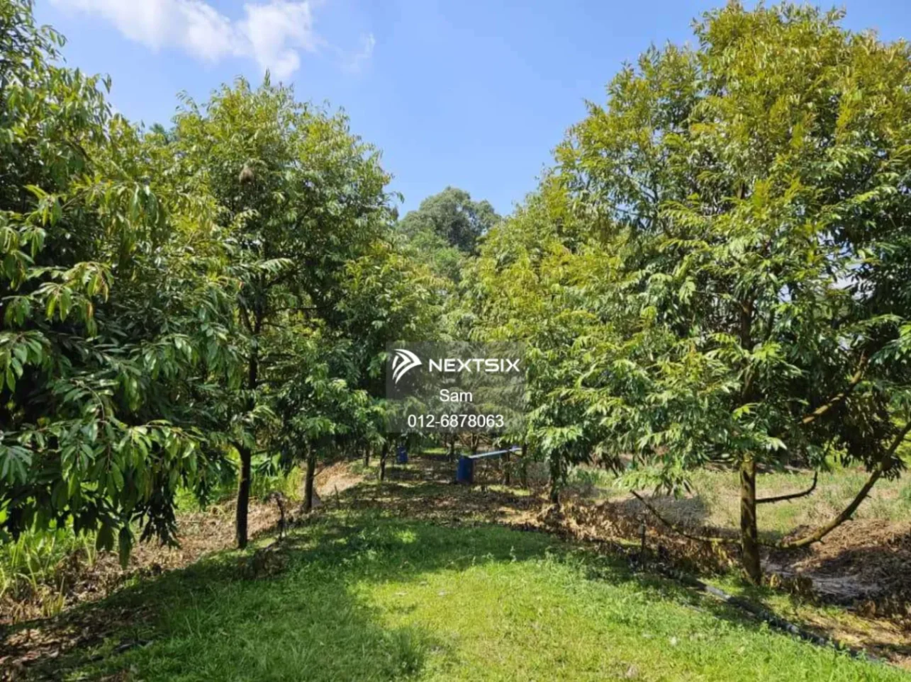 Agricultural Land For Sale in Dong Pahang - Image 7