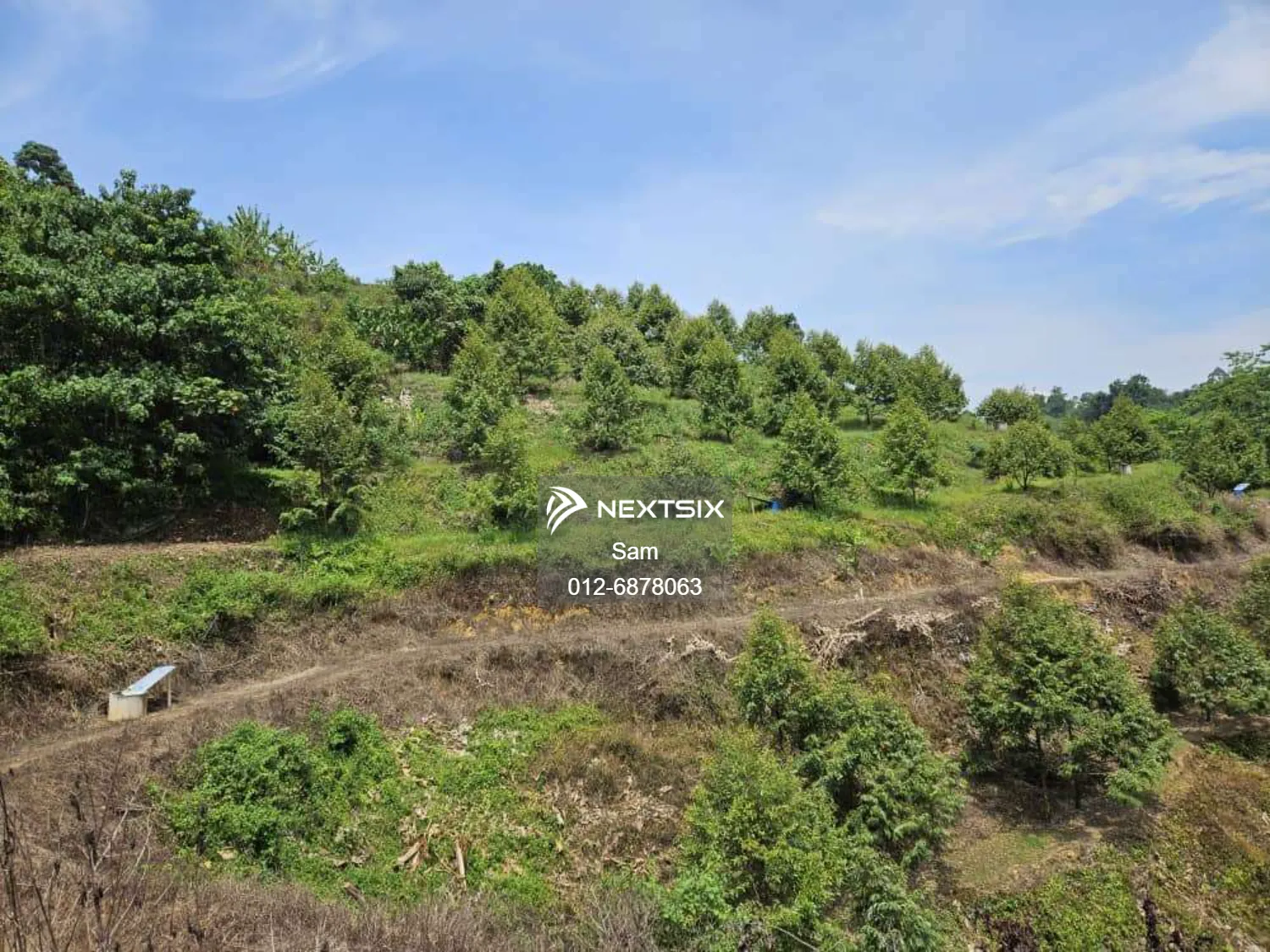 Agricultural Land For Sale in Dong Pahang - Image 8
