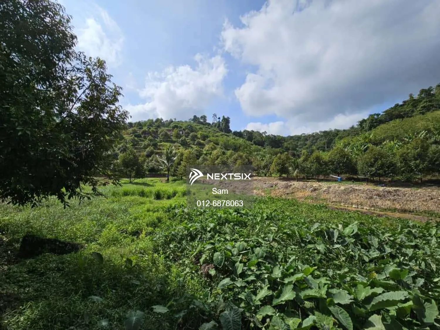 Agricultural Land For Sale in Dong Pahang - Image 9