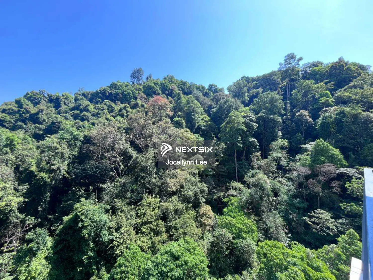 Condominium For Rent in Tanjung Bungah Penang - Image 8