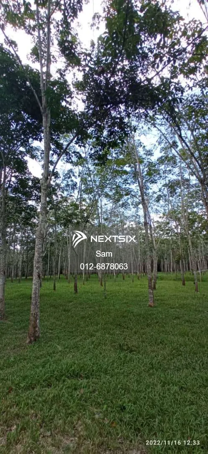 Agricultural Land For Sale in Pagoh Johor