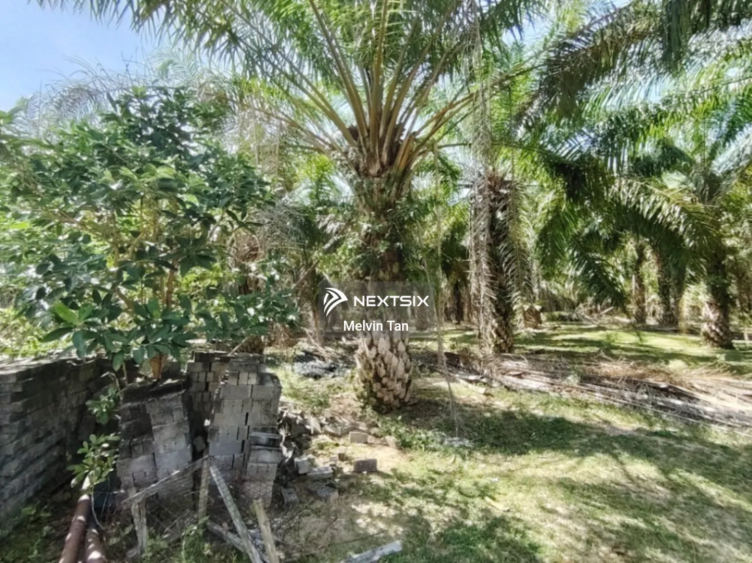 Agricultural Land For Sale in Asahan Melaka - Image 5
