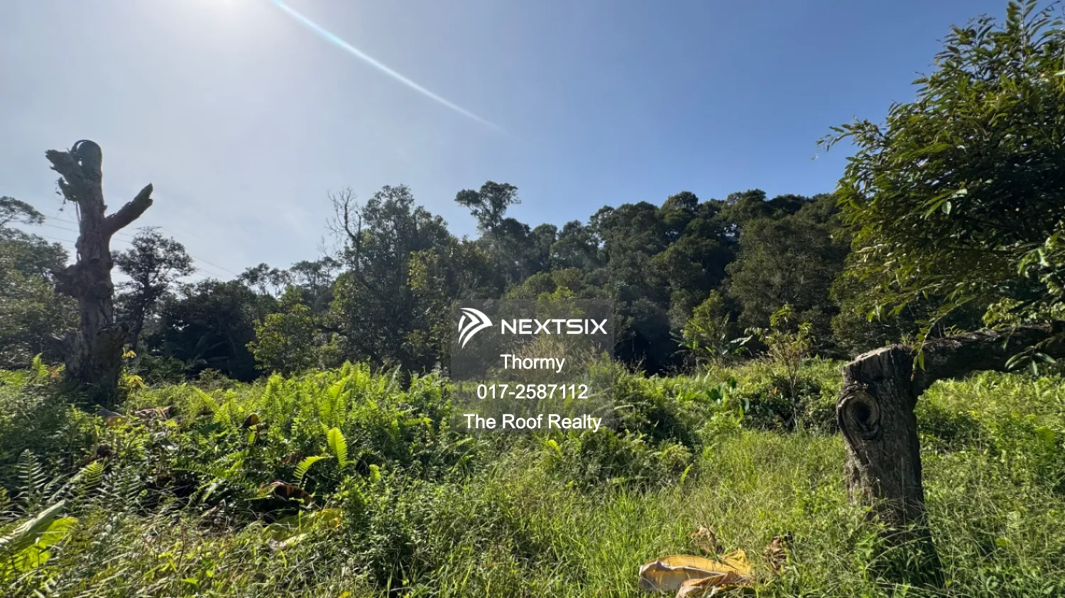 Agricultural Land For Sale in Raub Pahang - Image 10