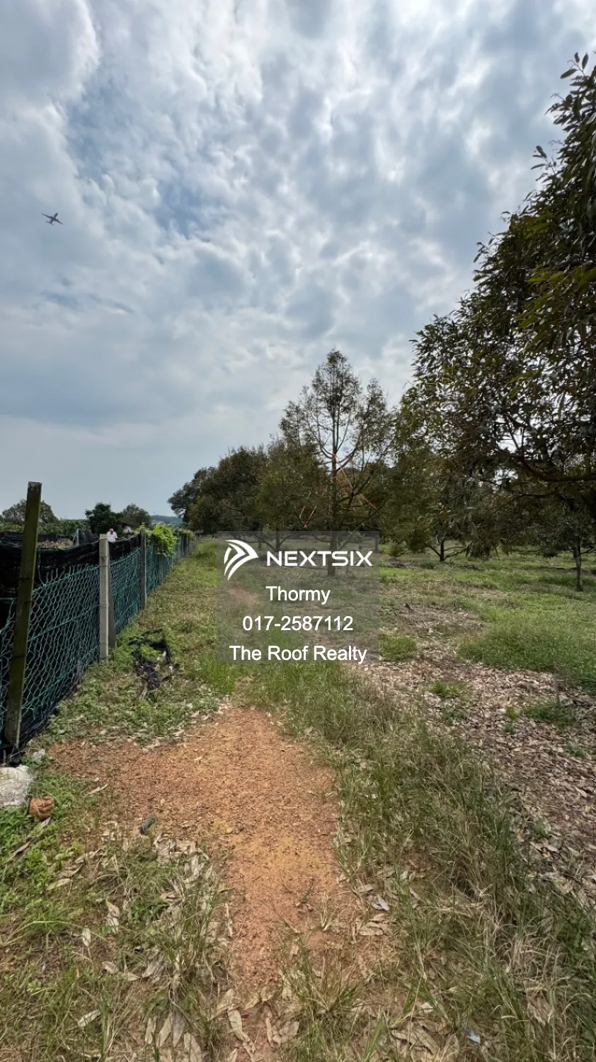 Agricultural Land For Sale in Port Dickson Negeri Sembilan - Image 5