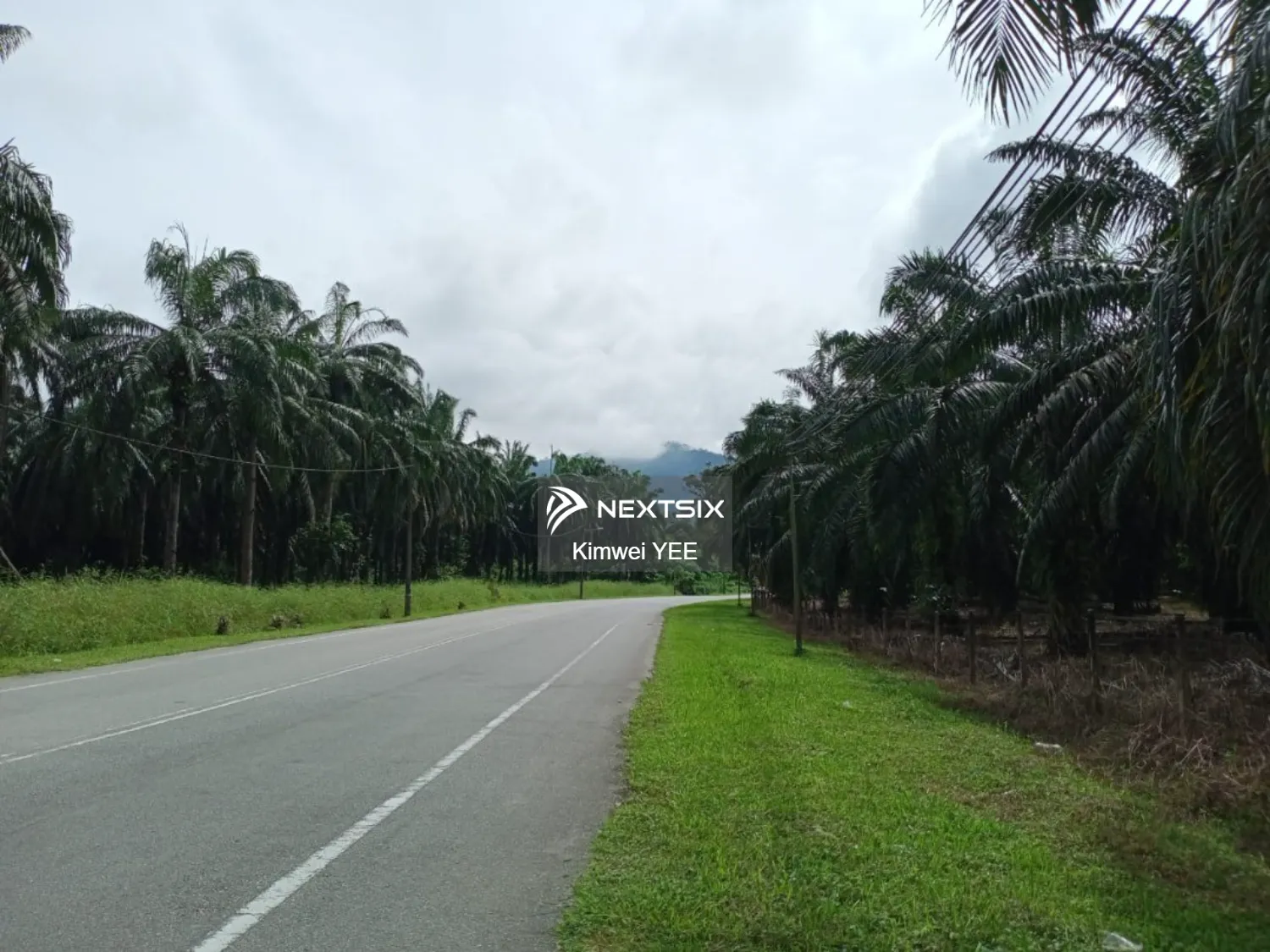 Agricultural Land For Sale in Tanjong Tualang Perak - Image 11