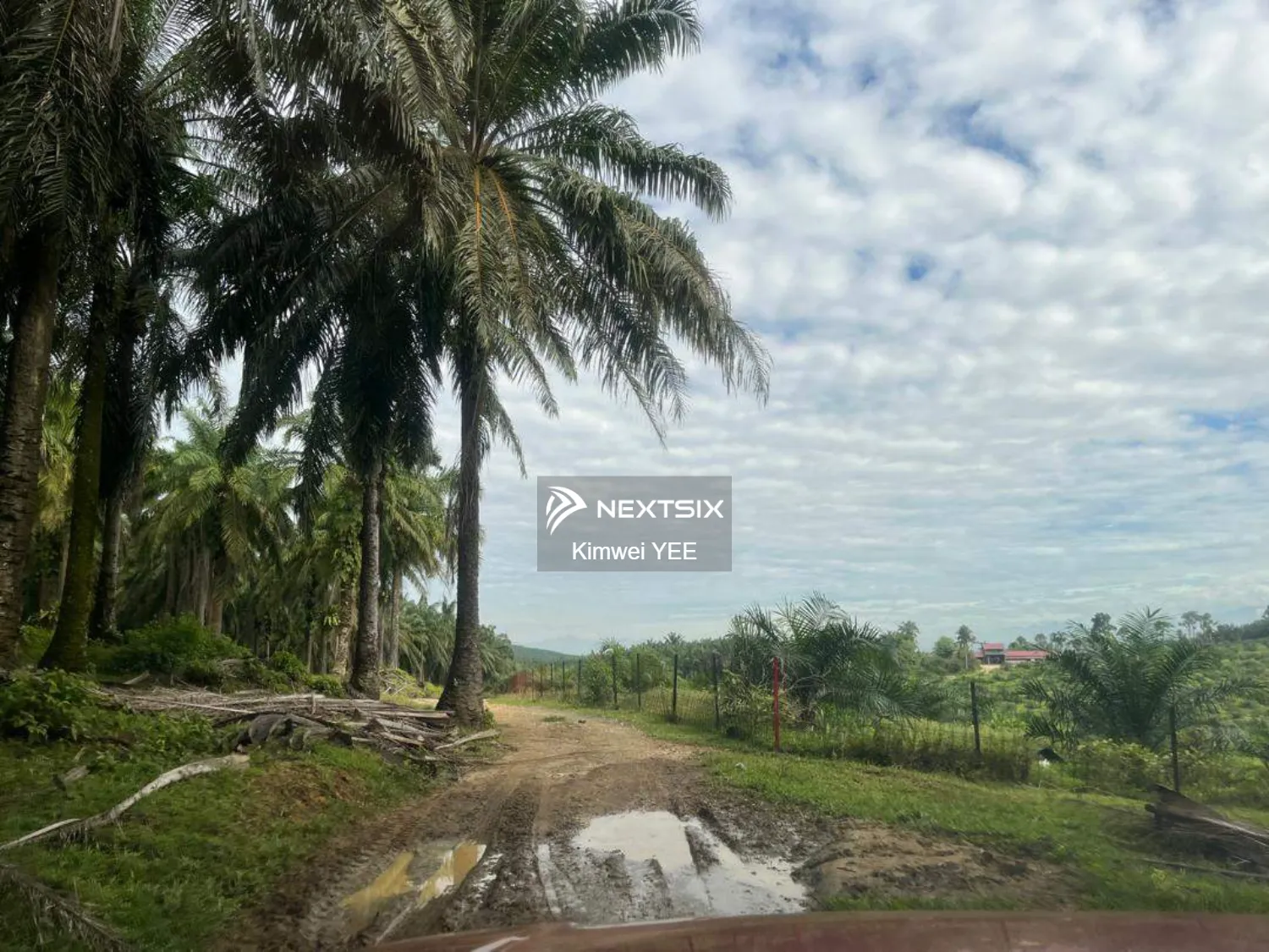 Agricultural Land For Sale in Tanjong Tualang Perak - Image 15