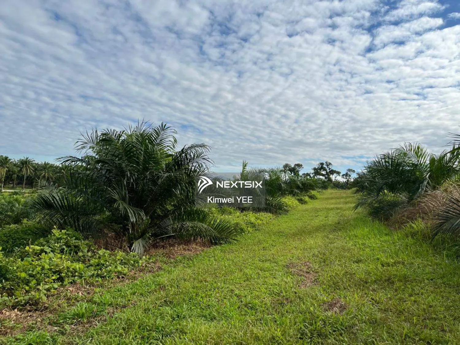 Agricultural Land For Sale in Tanjong Tualang Perak - Image 19