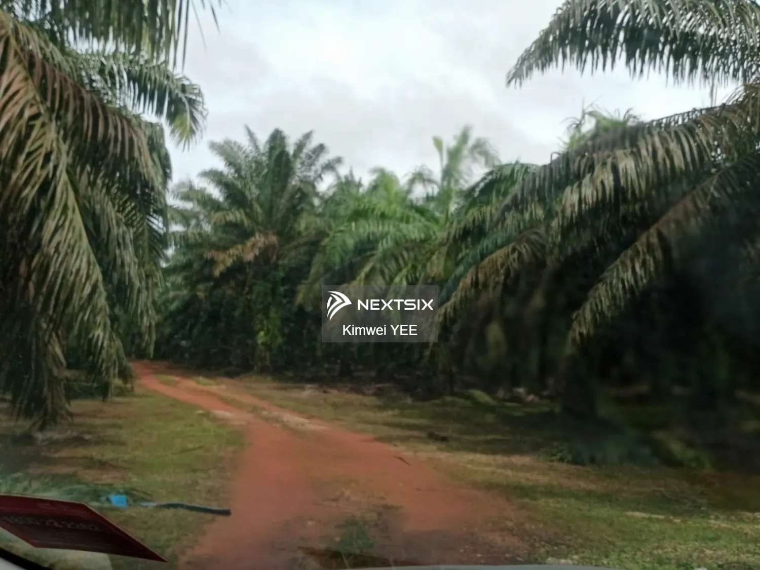 Agricultural Land For Sale in Tanjong Tualang Perak - Image 6