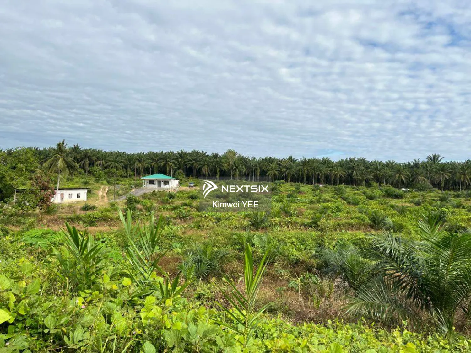 Agricultural Land For Sale in Tanjong Tualang Perak - Image 9