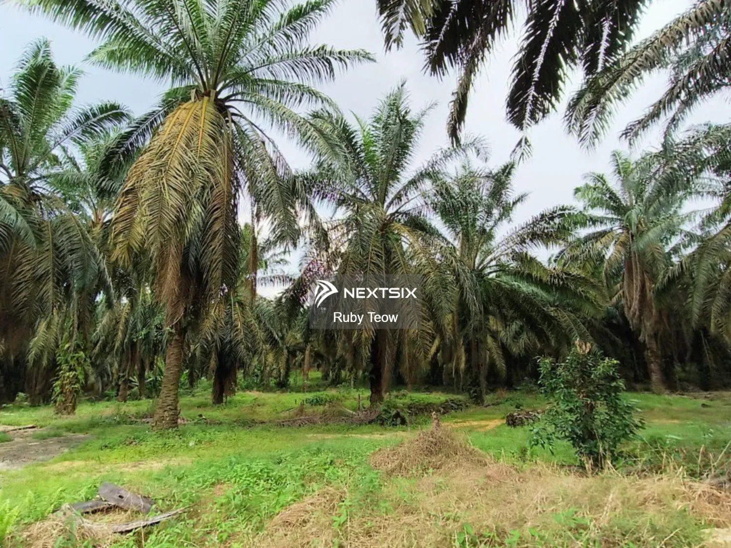 Industrial Land For Rent in Senai Johor