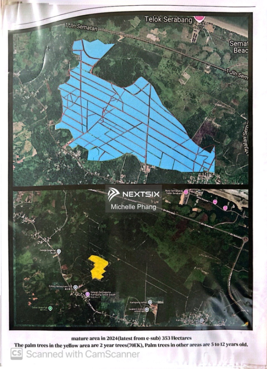 Agricultural Land For Sale in Kuching Sarawak