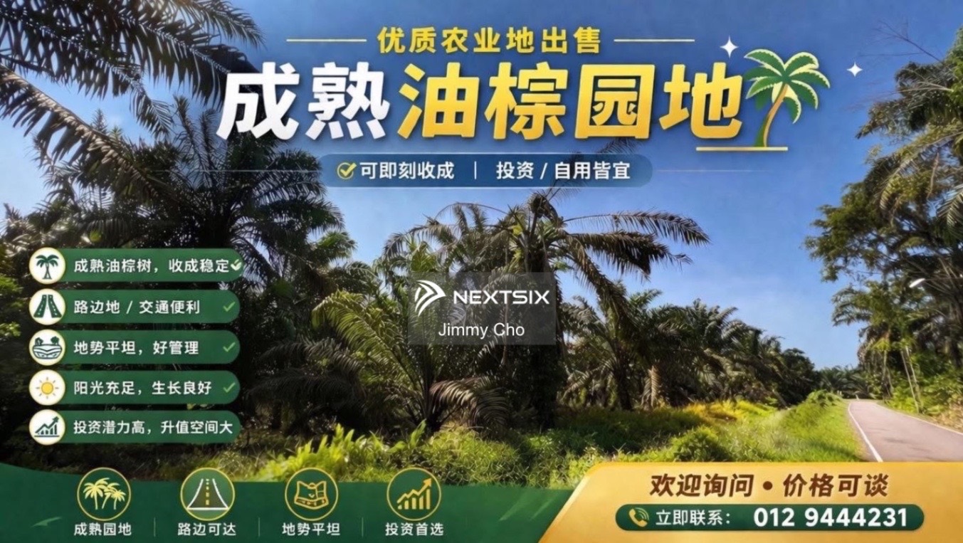 Agricultural Land For Sale in Pekan Nanas Johor