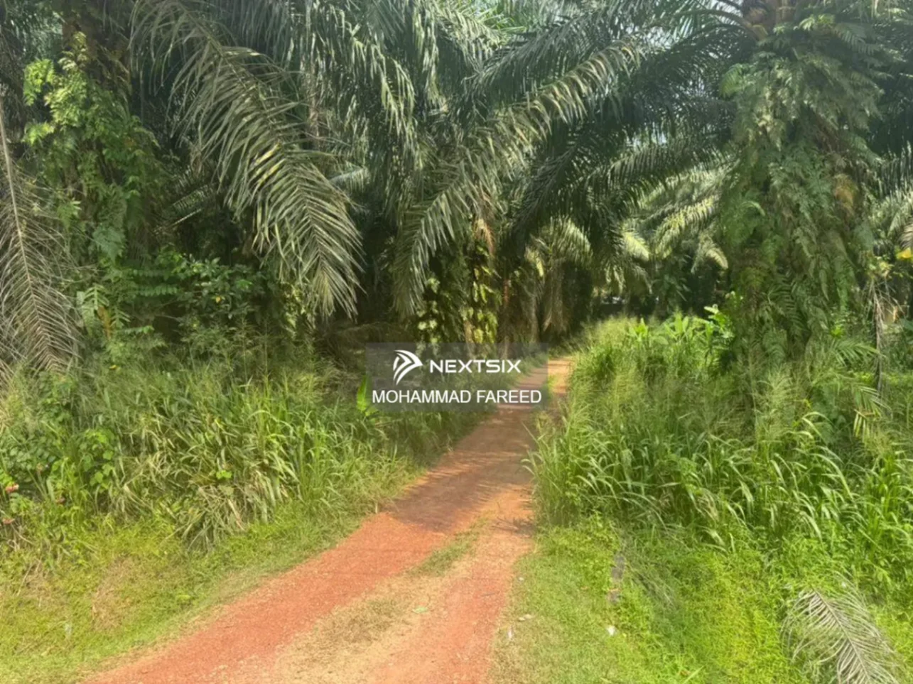 Agricultural Land For Sale in Muar Johor - Image 8