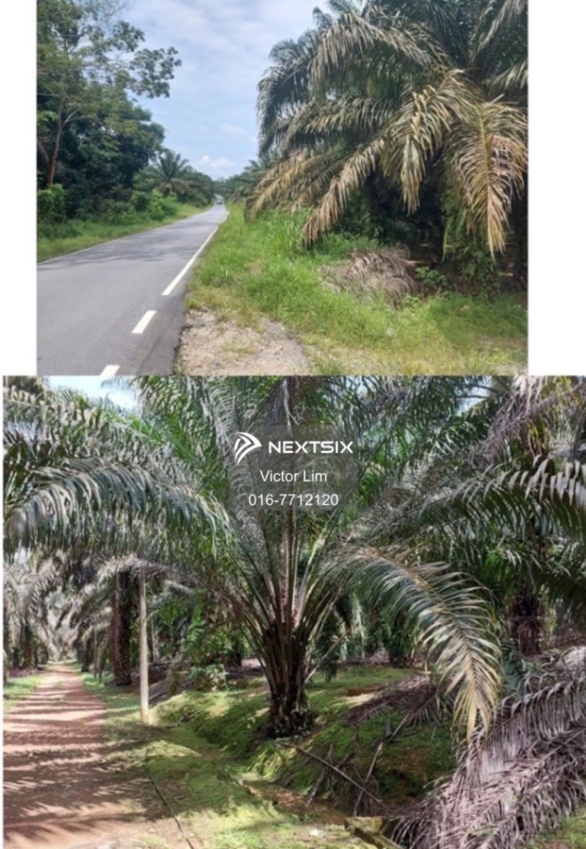 Agricultural Land For Sale in Kota Tinggi Johor