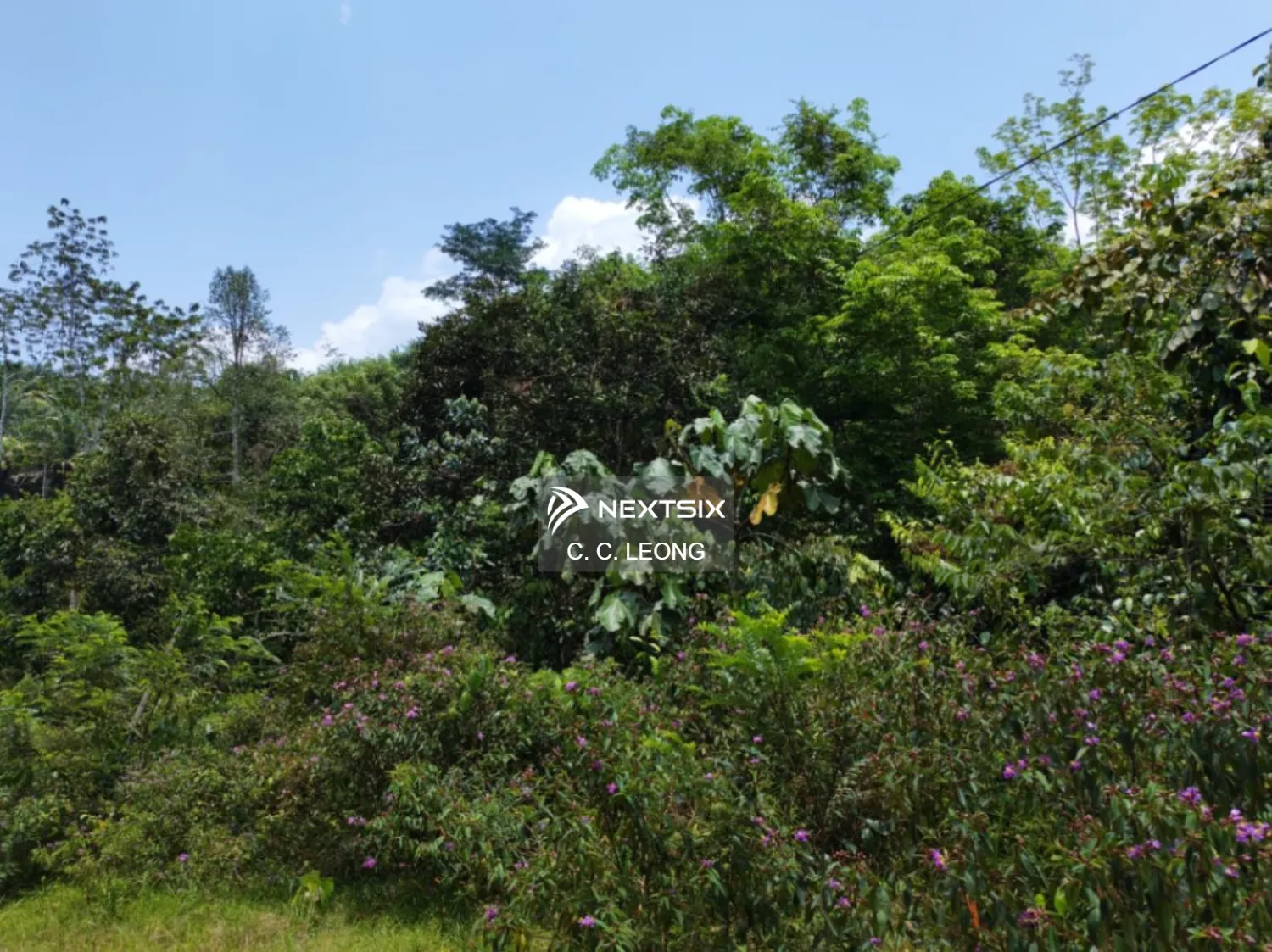 Agricultural Land For Sale in Batang Kali Selangor