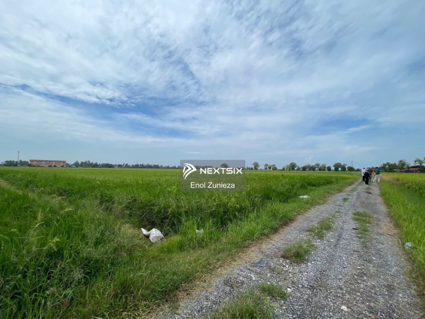 Agricultural Land For Sale in Simpang Ampat Perlis - Image 5