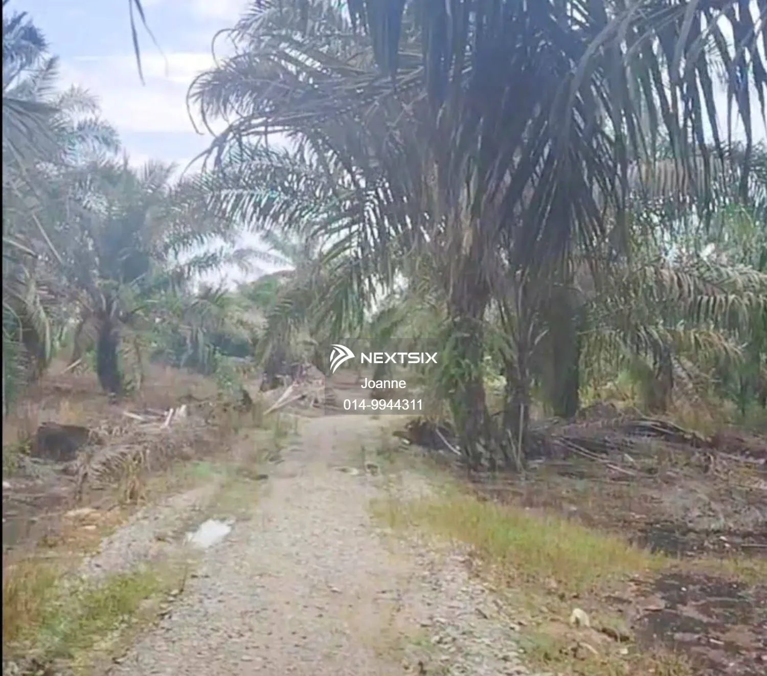 Agricultural Land For Sale in Pontian Johor