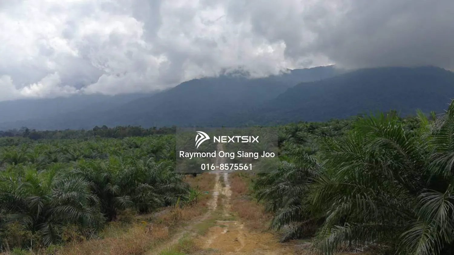 Agricultural Land For Sale in Kuching Sarawak