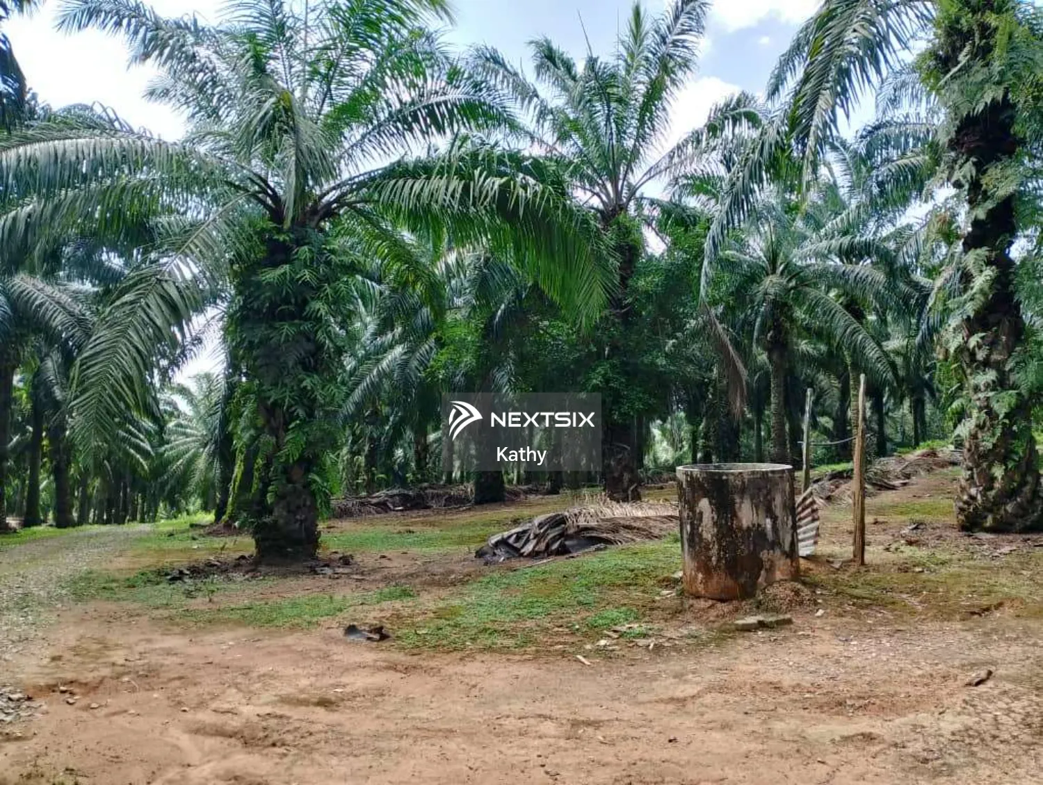 Agricultural Land For Sale in Jasin Melaka