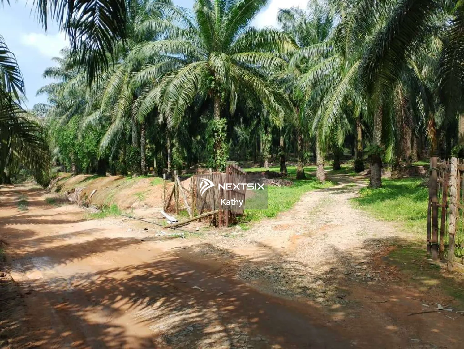 Agricultural Land For Sale in Jasin Melaka - Image 5