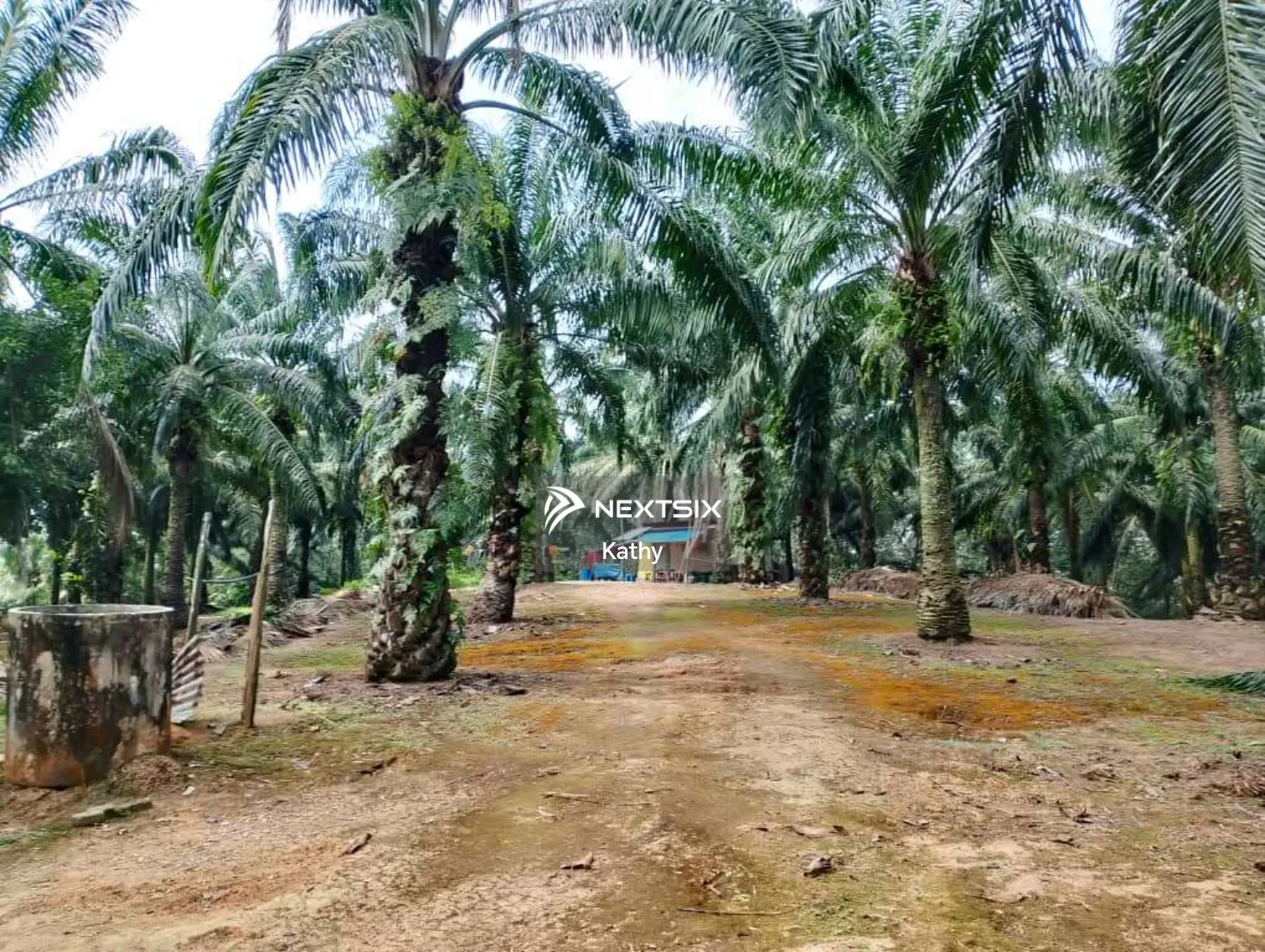 Agricultural Land For Sale in Jasin Melaka - Image 6