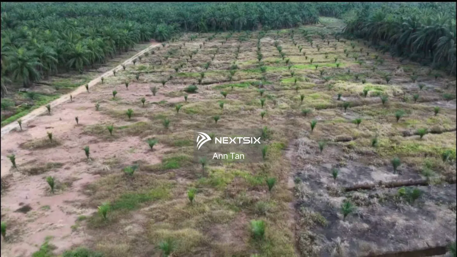 Agricultural Land For Sale in Batu Pahat Johor