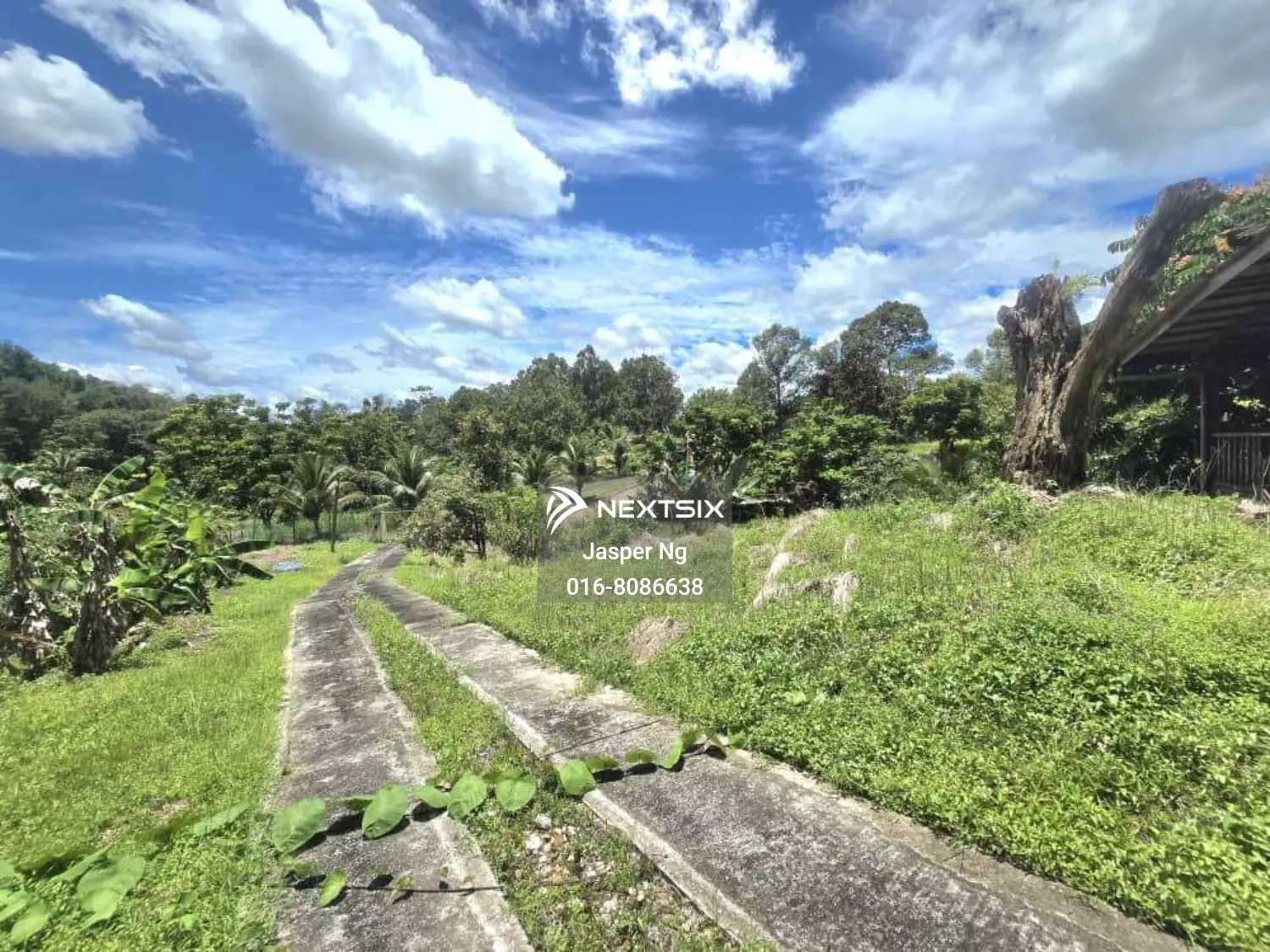Agricultural Land For Sale in Kuching Sarawak - Image 5