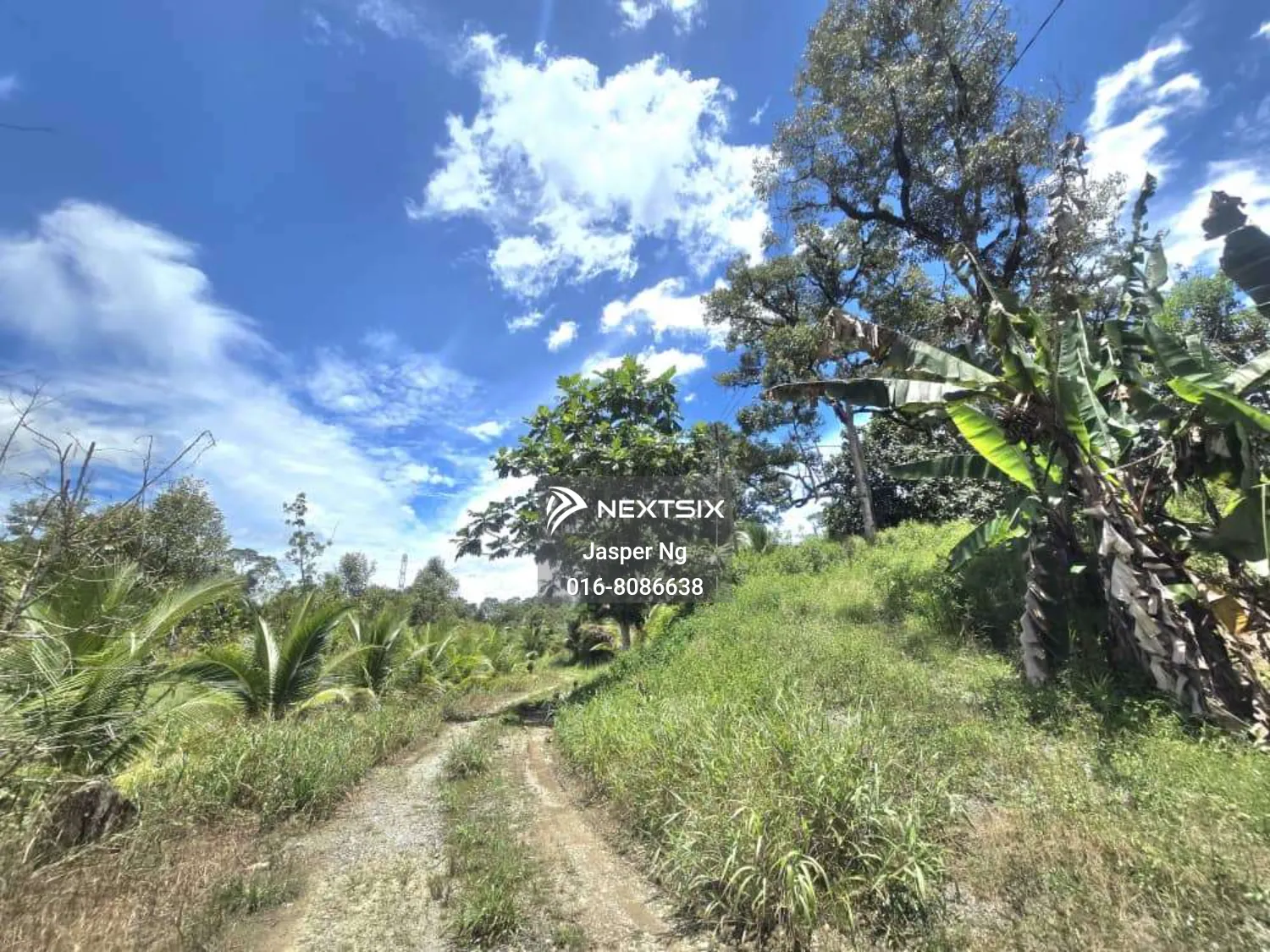 Agricultural Land For Sale in Kuching Sarawak - Image 8